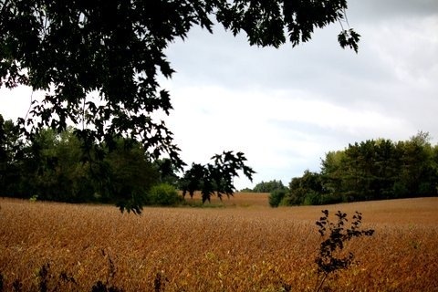 20 AC Whalen Rd, Madison, WI 53711 - photo 1