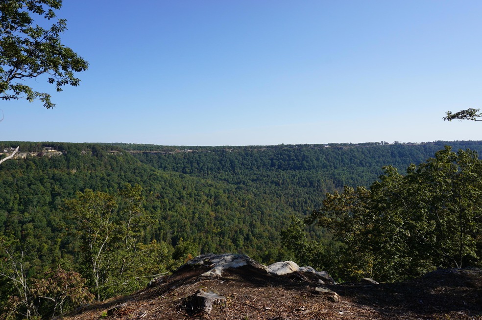 20201008010526513867000000-o