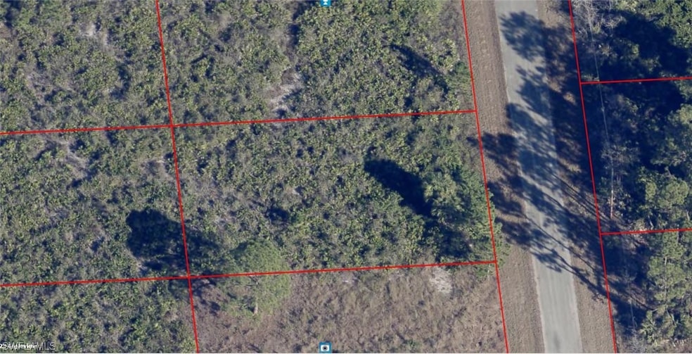 718 Naples Ave S, Lehigh Acres, FL 33974 - photo 1