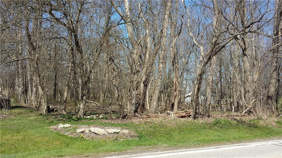 4 N Bissell Rd, Aurora, OH 44202 - photo 1