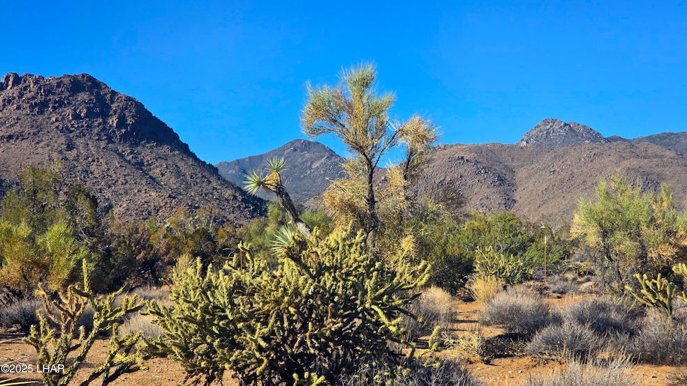 2b S Cattle Crossing Rd, Yucca, AZ 86438 - photo 1