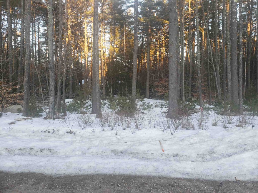 41 Poliquin Dr unit 41, Conway, NH 03818 - photo 1