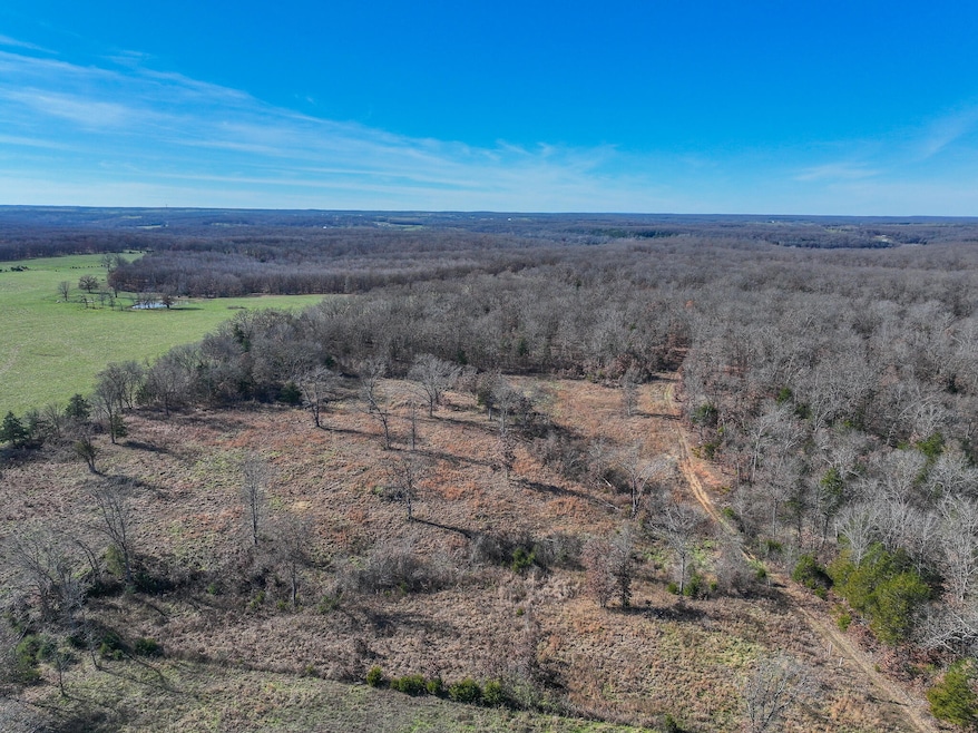 000 SE 1151, Dallas Township, MO 64738 - photo 1