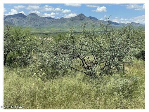 Sold $18,000 • Co-Listing Agent
