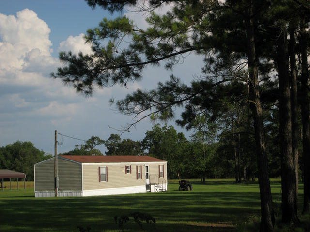 Main View