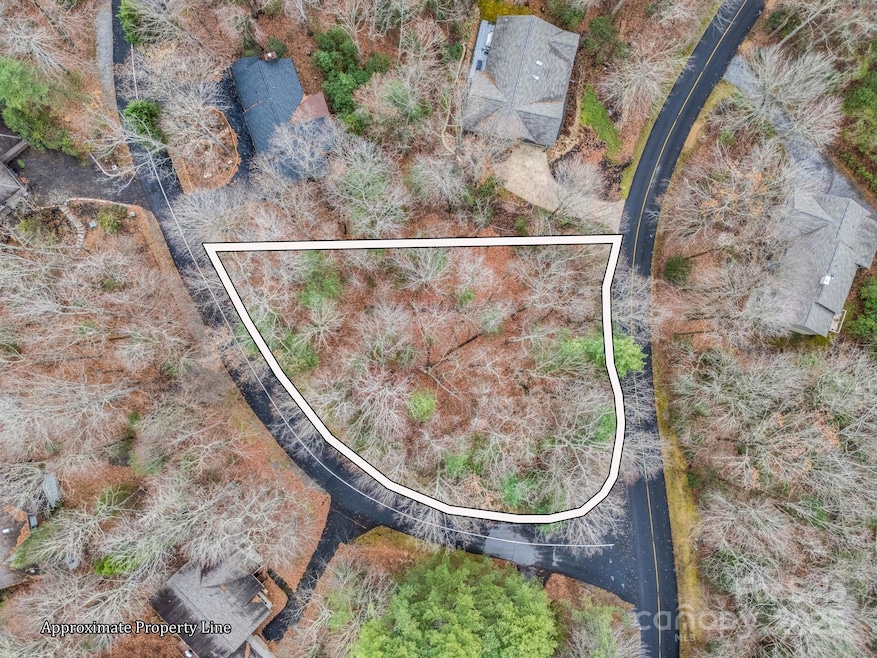 TBD Ossarooga Ct unit Lot 29/Unit 6, Brevard, NC 28712 - photo 1