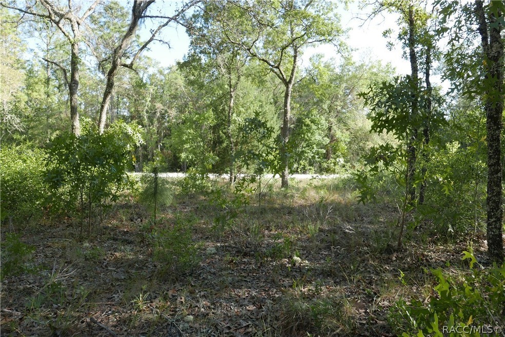 Standing in the property looking at the street.