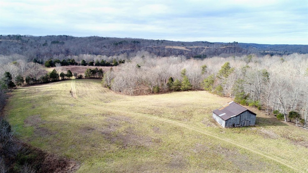 289 Surveyed KY acres! 4 barns, 1 (older