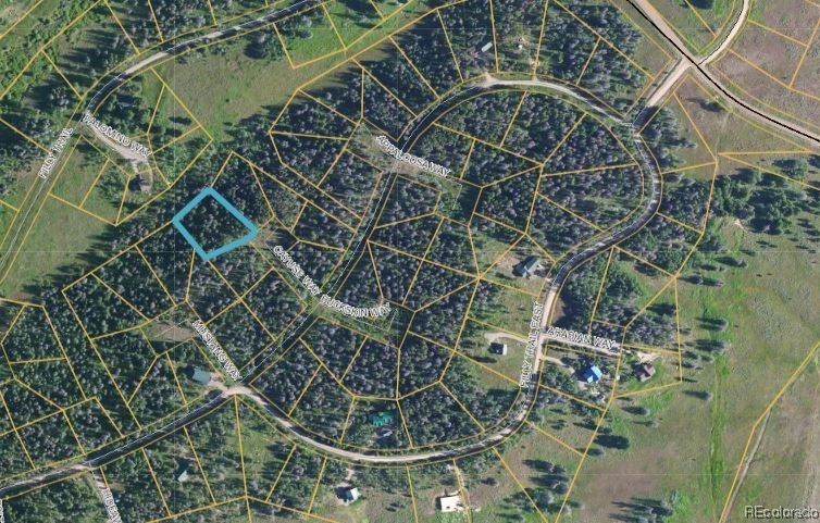 Lot 65 Black Horse I