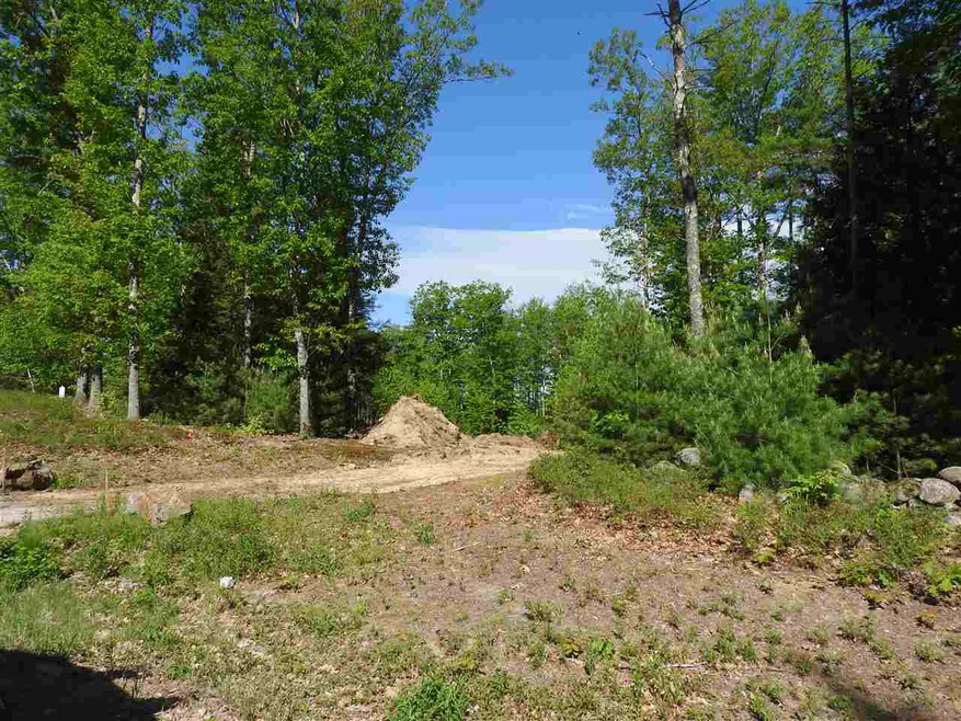 1 Wildwood, Hopkinton, NH 03229 - photo 1