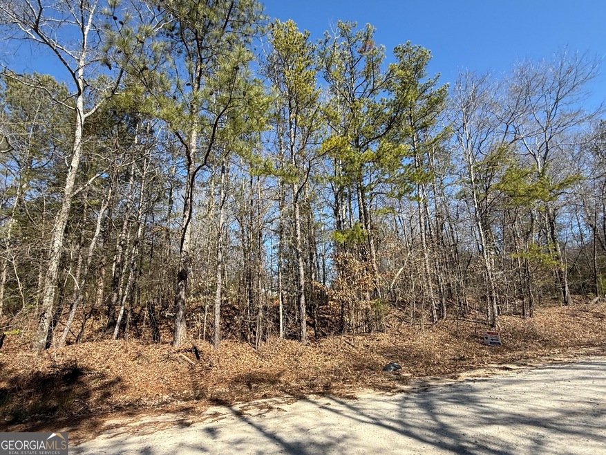 0 Browns Bridge Rd unit 10465565, Bowman, GA 30624 - photo 1