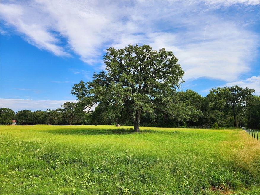 Welcome to Lot 55 in Post Oak Meadows. A gorgeours