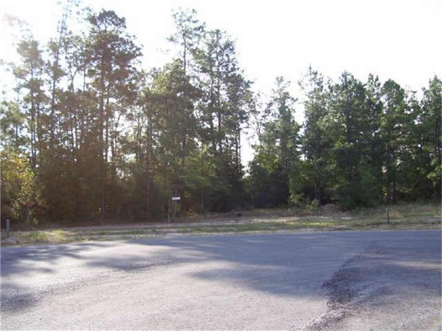 29212 Village Oaks Ct, Magnolia, TX 77355 - photo 1