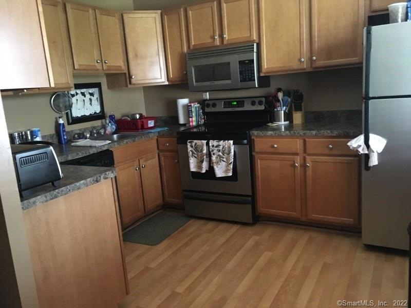 The Webster Condominium unit E1, Hartford, CT 06105 - photo 1