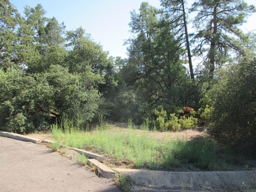 202 E Jura Cir, Payson, AZ 85541 - photo 1