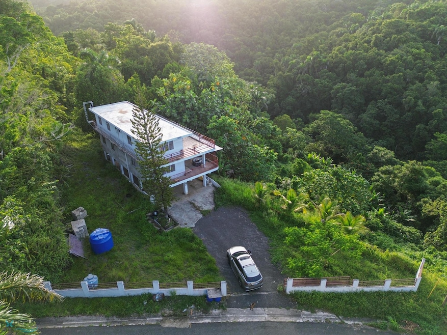 KM 3 HM 8 Carr 110, Moca, PR 00676 - photo 1