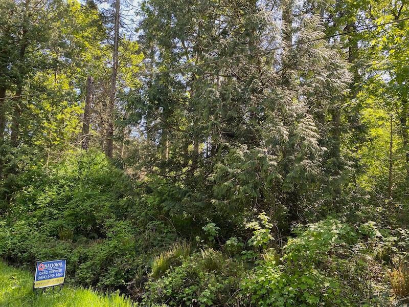 Lot 11 Mckenzie Way, Point Roberts, WA 98281 - photo 1