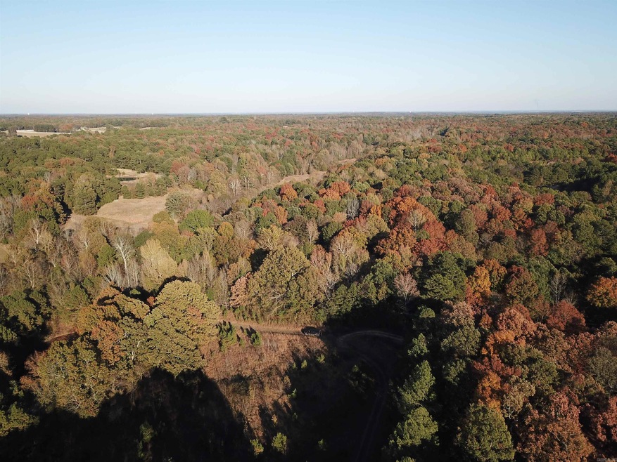 000 Greene Road 788, Paragould, AR 72450 - photo 1