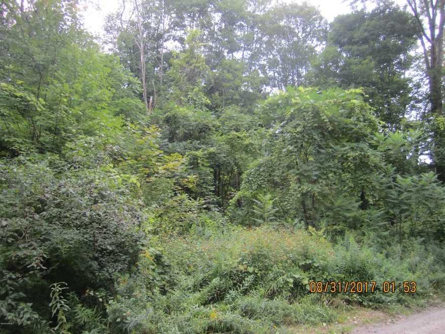 view of land from the road