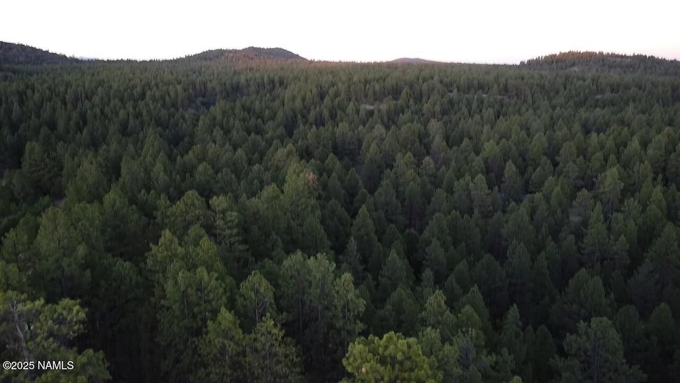 155 E Ski Run Rd, Williams, AZ 86046 - photo 1