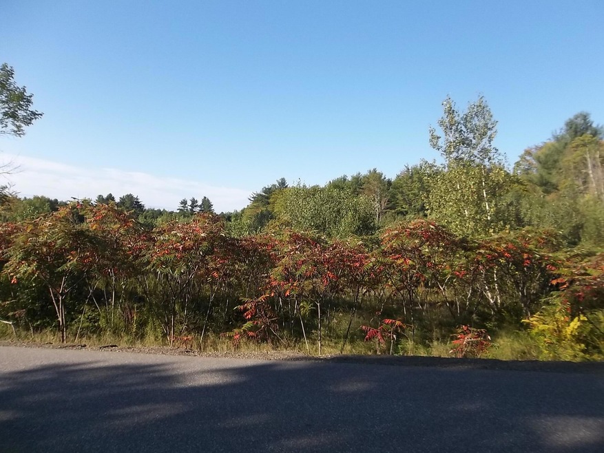 Lot 7 Windsor Neck Rd, Windsor, ME 04363 - photo 1