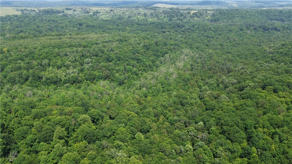 00 Glen Campbell Rd, Canoe/Banks Twps, PA 15742 - photo 1