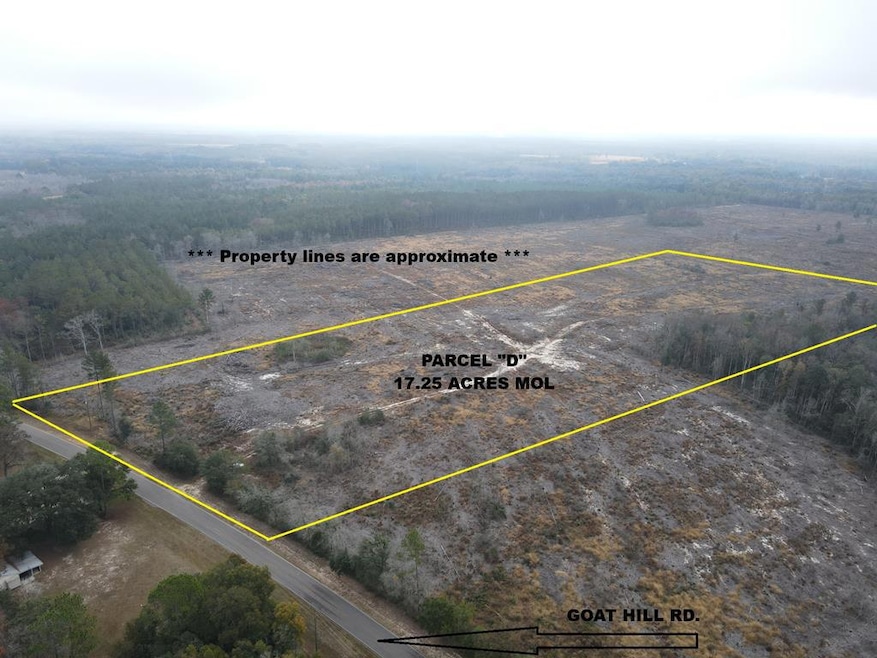 17.25 Acres Goat Hill Rd, Samson, AL 36477 - photo 1