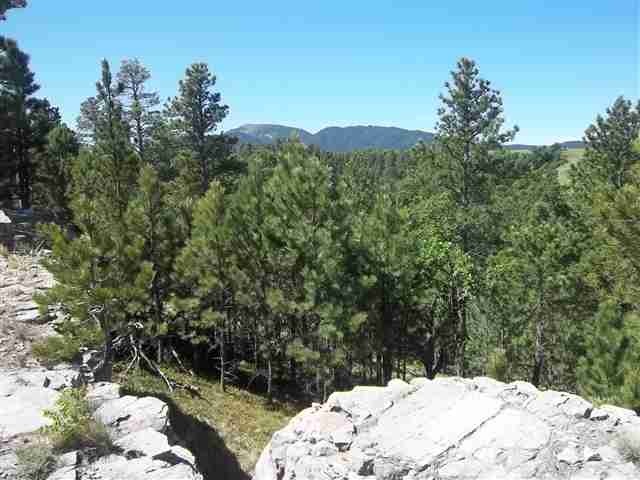19945 Gobbler Rd unit Lot 13, Block 2, Spearfish, SD 57783 - photo 1