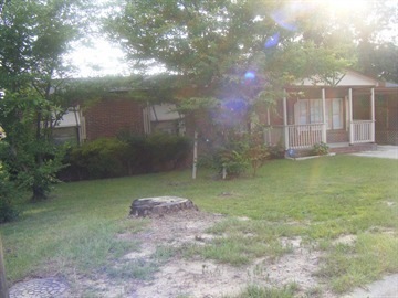 Primary Photo