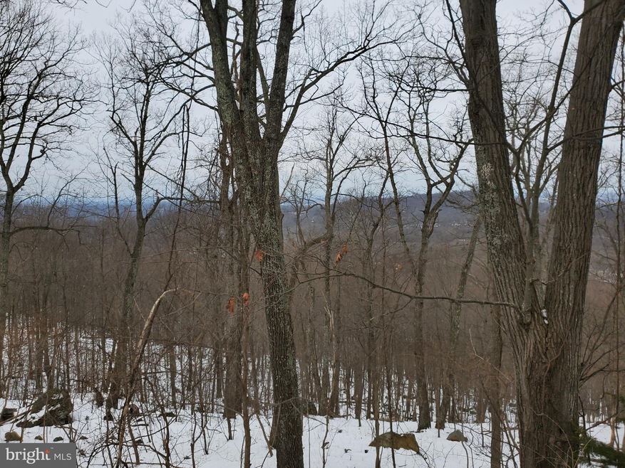 Lot 847,848,849 Blue Mountain Rd, Riverton, VA 22630 - photo 1