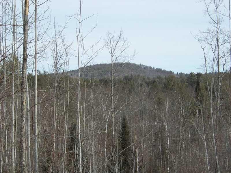 Lot 1A Spring Rd, Newfield, ME 04056 - photo 1