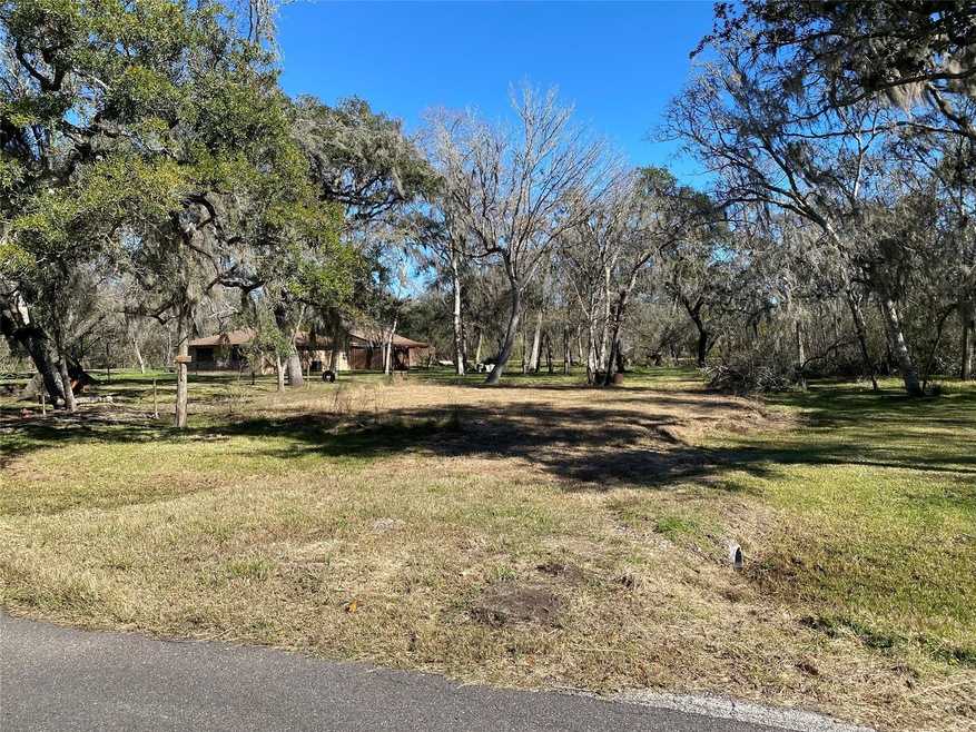 0 River Bend Dr unit 69791859, Brazoria, TX 77422 - photo 1