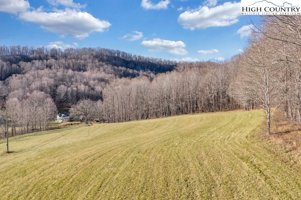TBD Old Buffalo Trail, Boone, NC 28607 - photo 1
