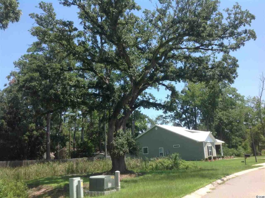 704 Adeline Ct unit Lot 5, Conway, SC 29526 - photo 1