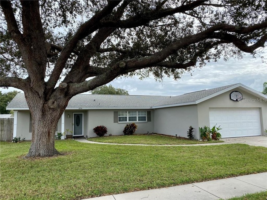 Street view, sidewalks and huge oak tree. Two car 