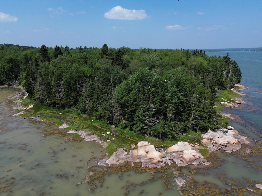 DJI_0384