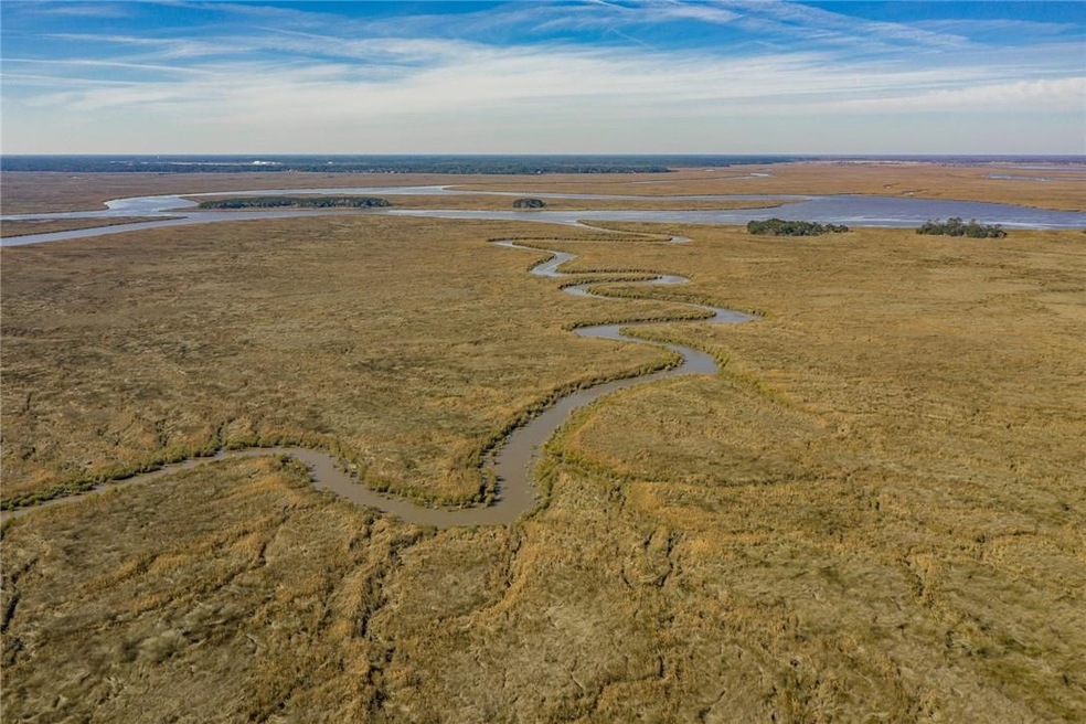 201 Saint Annies Ln, St. Simons, GA 31522 - photo 1