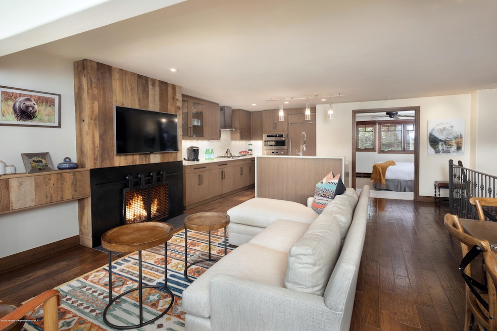 718 S Mill St unit 6, Aspen, CO 81611 - photo 1