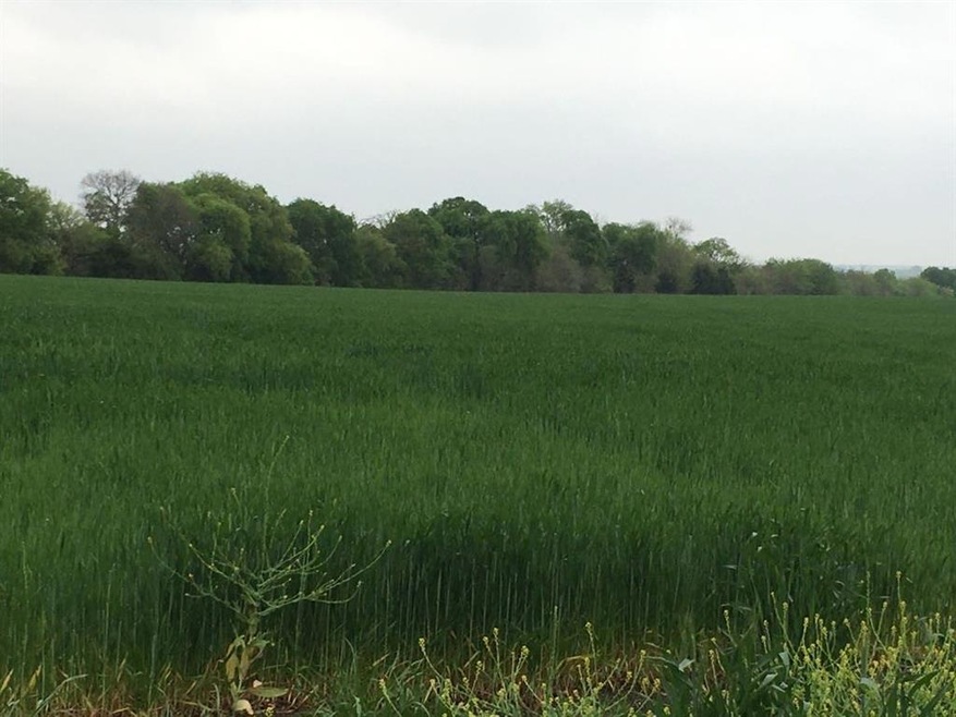 00 Hagerman Rd, Pottsboro, TX 75076 - photo 1