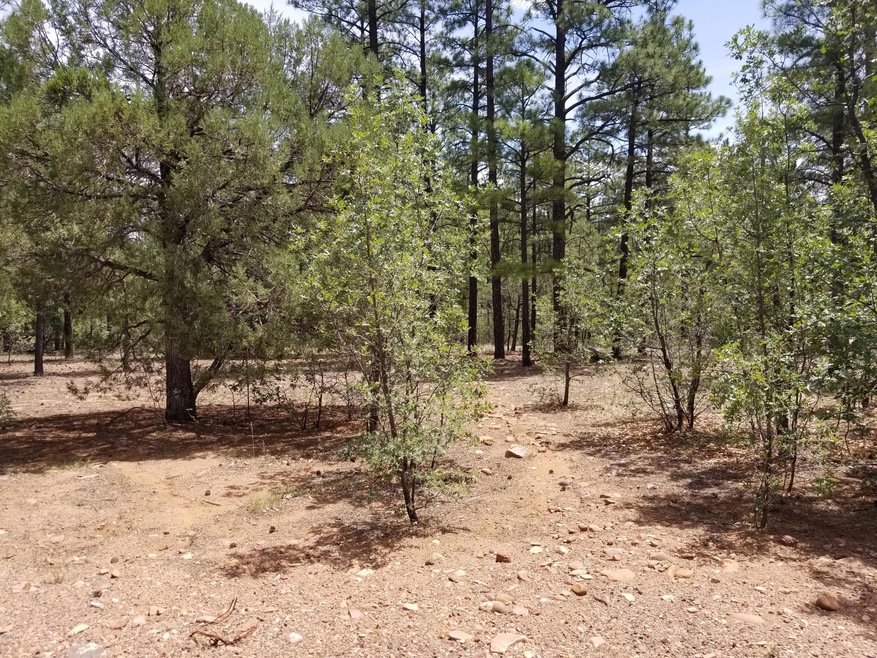 3950 Shaggy Bark Rd unit 333, Show Low, AZ 85901 - photo 1