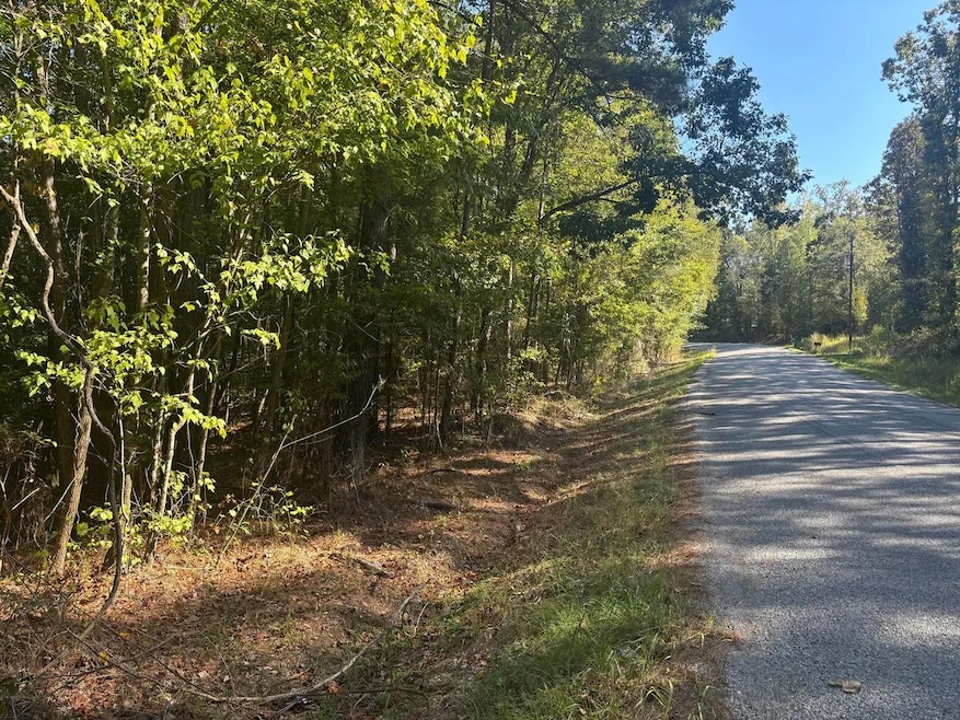 McDonald Rd, Florence, MS 39073 - photo 1