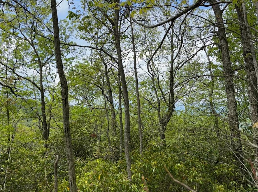 0 Cowee Mountain unit 26040865, Bryson City, NC 28713 - photo 1