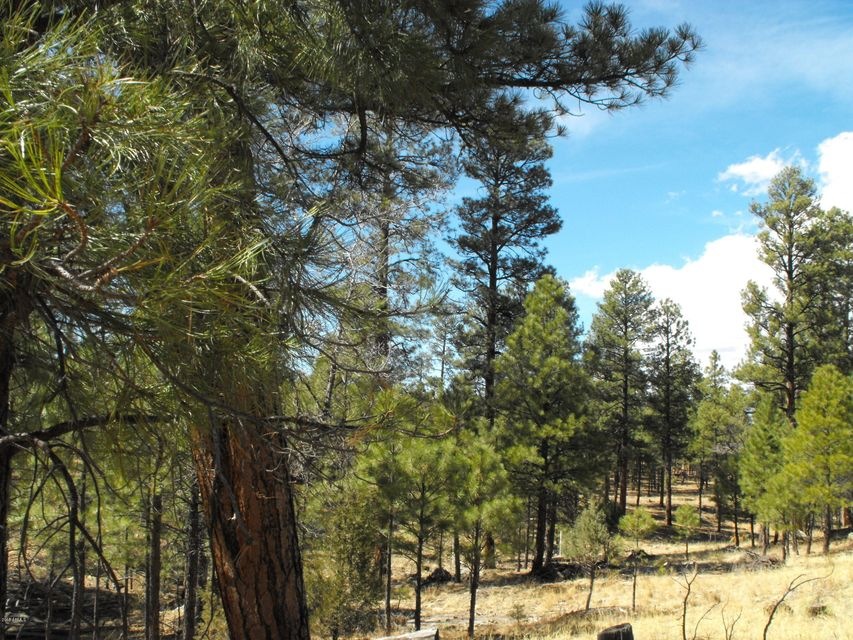 1 Lot 102 Juniper