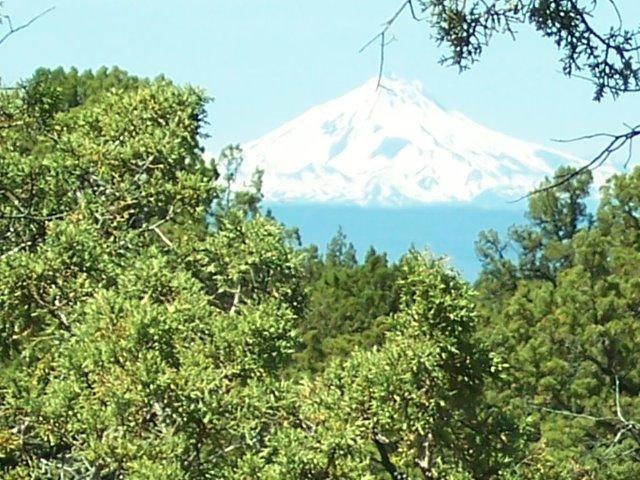 Primary Photo