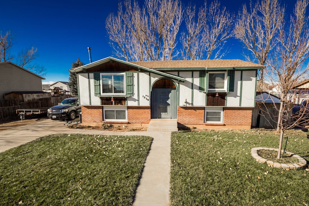 1230 S Birch Ave, Roosevelt, UT 84066 - photo 1
