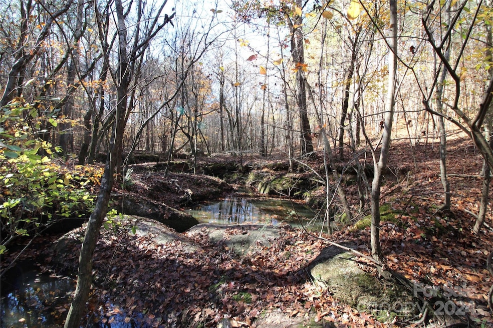 40+/- AC LOT 6 Hartness Rd, Clover, SC 29710 - photo 1