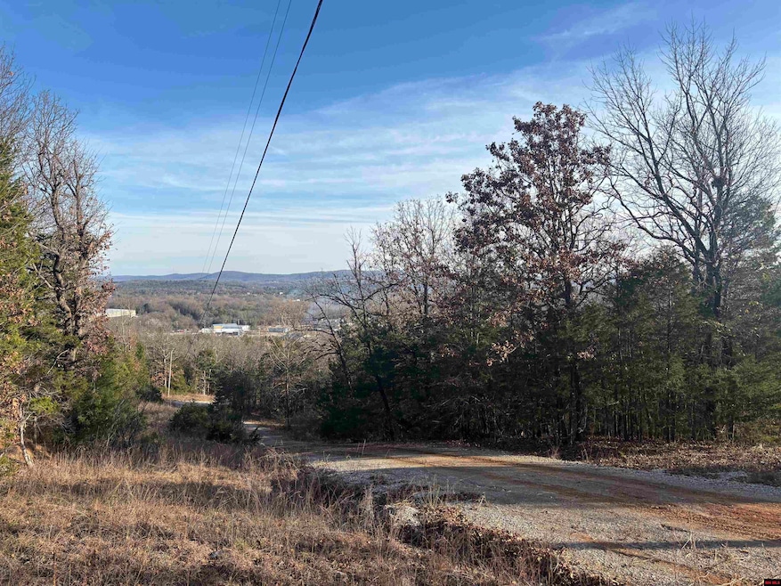 555-00002-000 Marion County 3063, Yellville, AR 72687 - photo 1