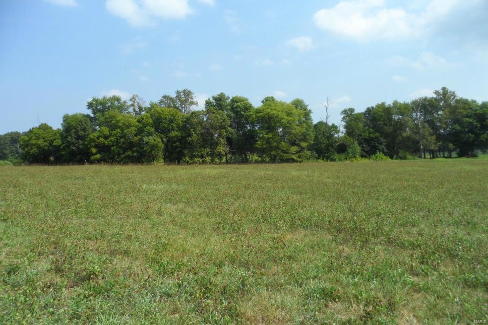 0 Ridgewood Hills Dr, Farmington, MO 63640 - photo 1