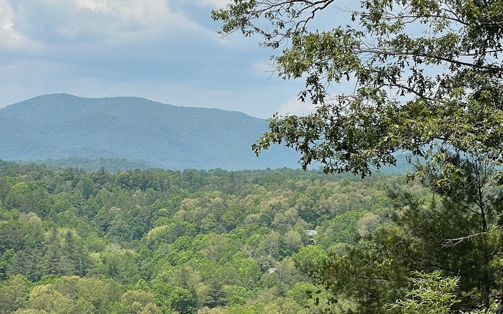 Main View