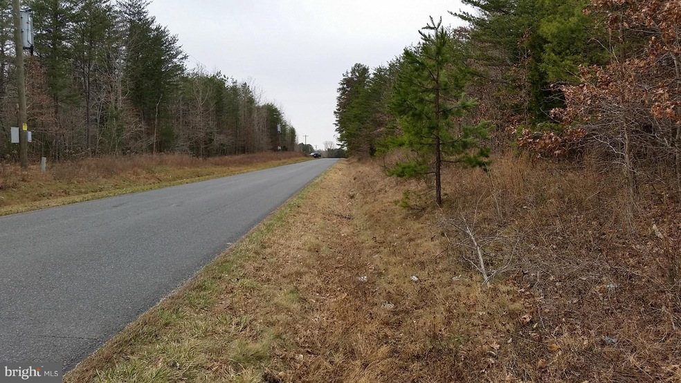 0 Vawter Corner Rd unit 1000545311, Louisa, VA 23093 - photo 1